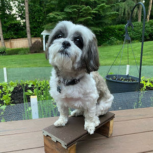 Meet your Posher, Spam